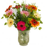 Glada germini - Buketter - Skicka blommor med blombud %city%